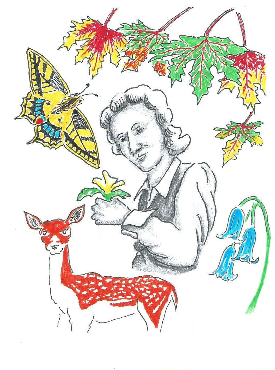 Carl Linnaeus, Swedish, botanist and explorer, famous for developing the naming system for plant and animal species. Rashult, Sweden, swallowtail butterfly, maple leaves, bluebells, fallow deer, 